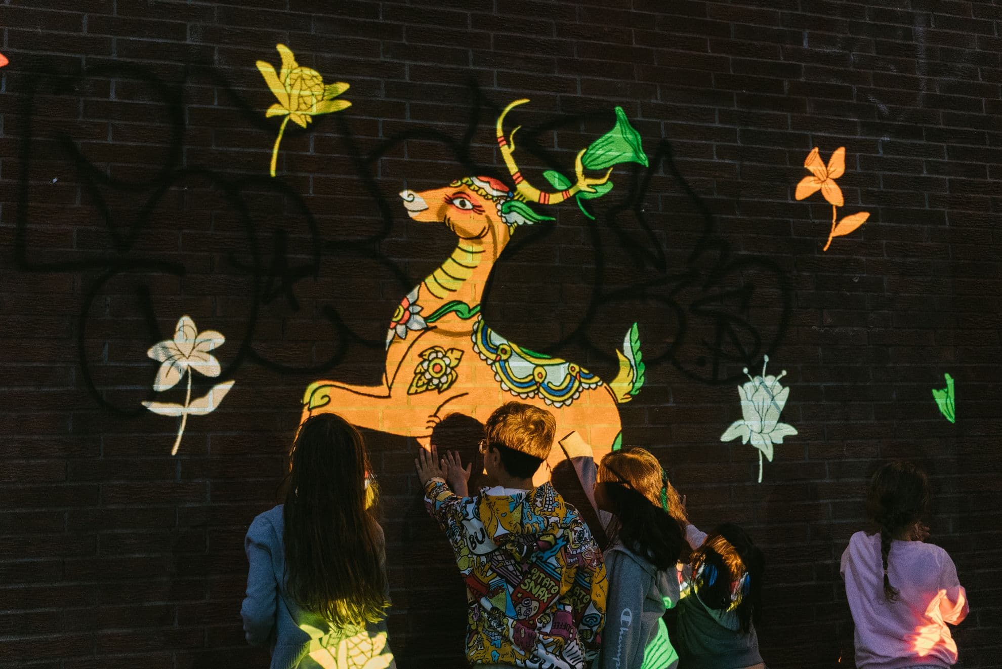 MAPP event picture